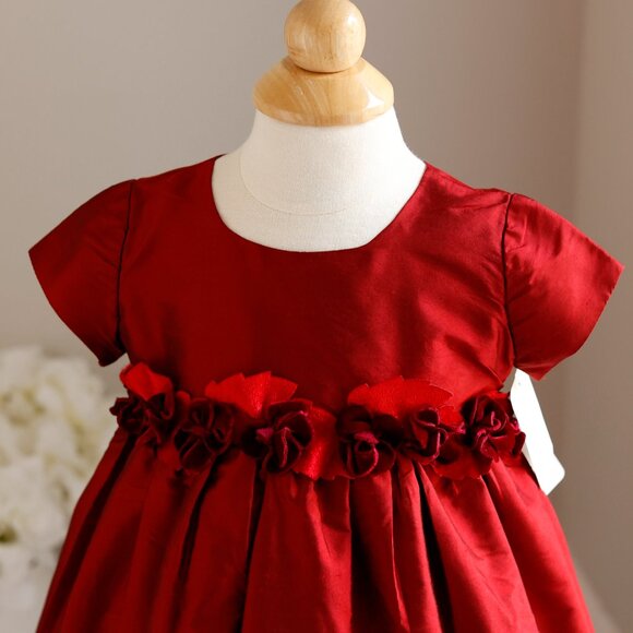 Red Silk Dress Luxury Designer Velvet Rose Leaf Trim Special Occasion Portrait - Picture 2 of 6